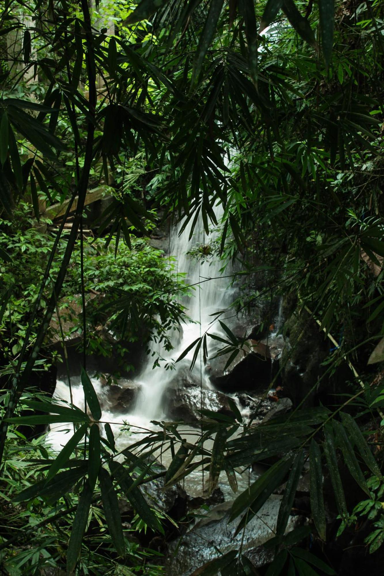 Ubud Hills Villas & Resort Tegallalang  Eksteriør billede
